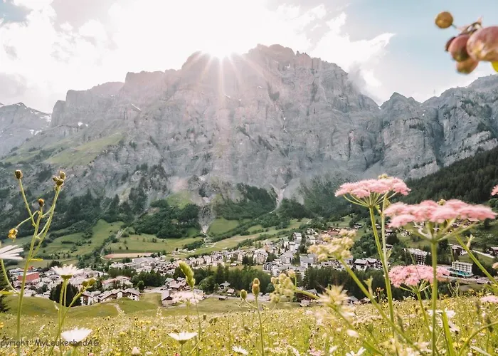 公寓 Ambiente C2 - Moderne Mit Terrasse In *